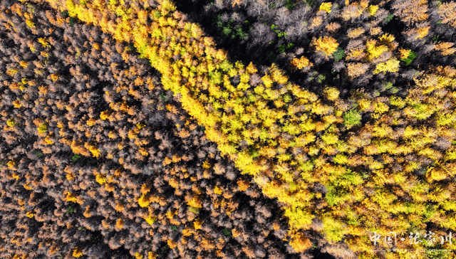 【摄影报道】秋韵未歇：张家川山水的立冬回眸