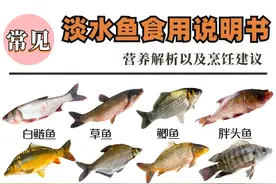 常见淡水鱼的种类及口感图片