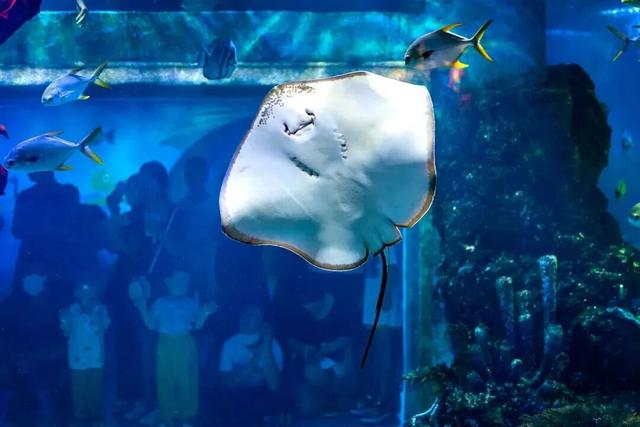 山东这座宝藏小城，坐拥中国四大名楼之一！苏轼、秦始皇都为它打call！