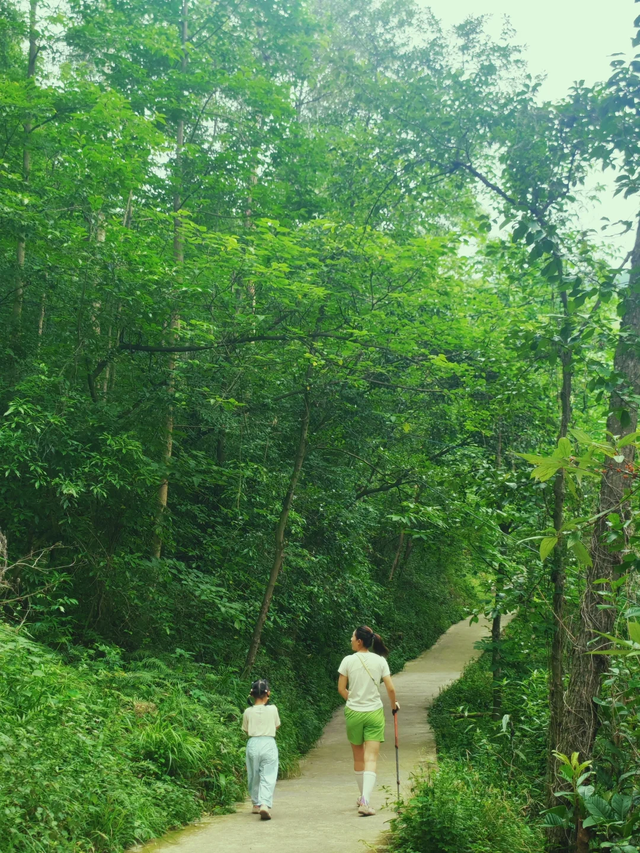 彭州法藏寺||斋饭、喝茶、书法、轻徒步，周末一日游超巴适