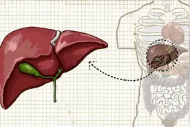 齿为肝之镜，牙齿出现这四种情况，很可能是肝发送的求救信号！图片