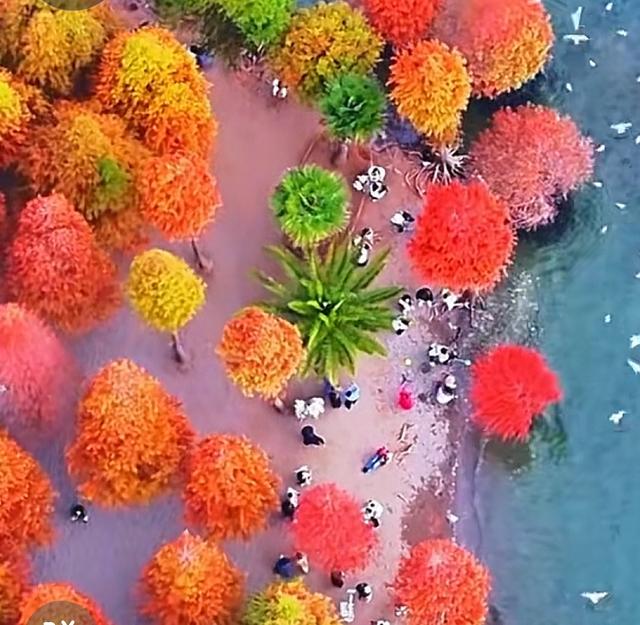 雲南昆明海晏村：滇池边日落秘境，藏着最治愈的烟火气