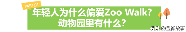 当Zoo Walk成为都市爆款 ，当代年轻人从“萌物”中寻求疗愈