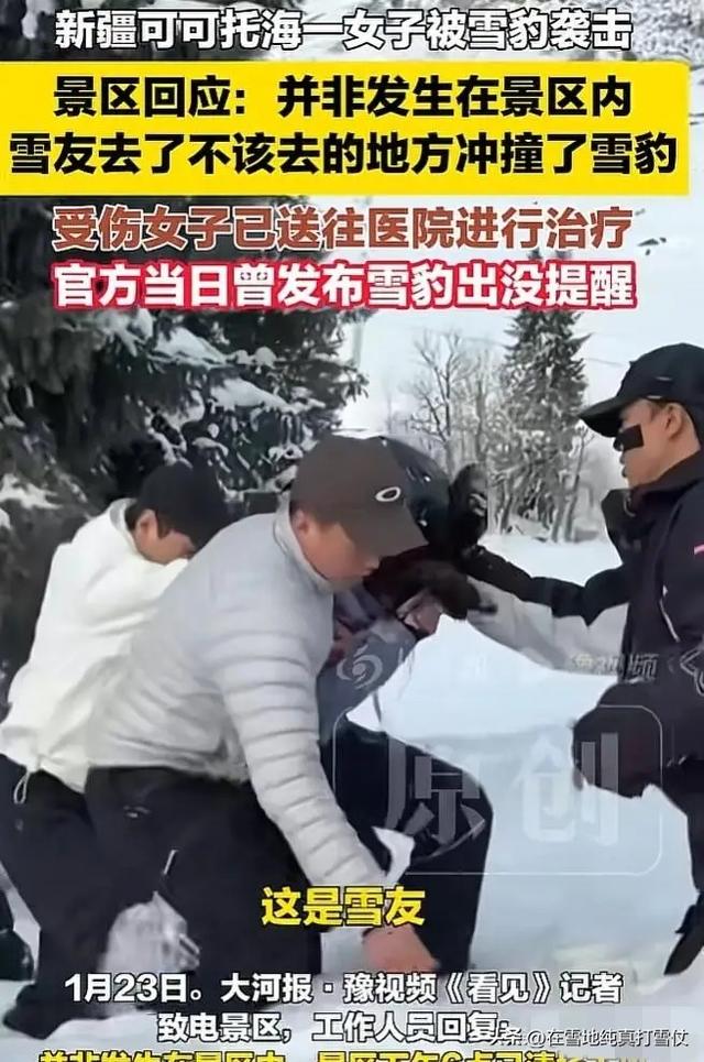 可可托海雪豹咬人后续！“活该”？三次警告当耳旁风，被咬不冤