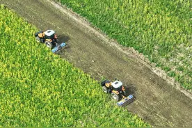 有机肥推广还是难？原来“死穴”在这里！图片