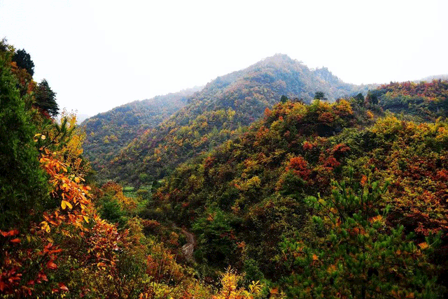 警告！深秋的徽县，千万别出门！因为……
