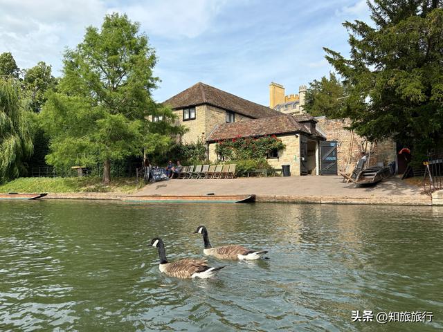 2025年环球知旅——华威城堡和剑桥