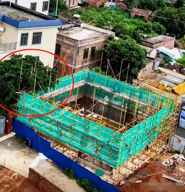 全红婵家建房最新情况：施工受阻，邻居仍不肯砍树，现场照片曝光