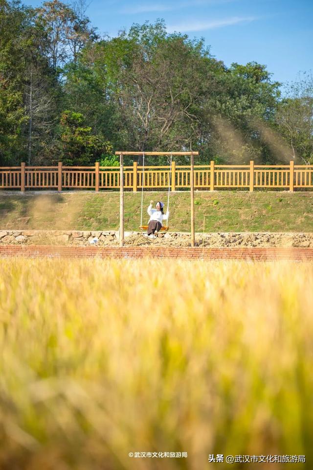 会玩的武汉人，都回村过秋天了