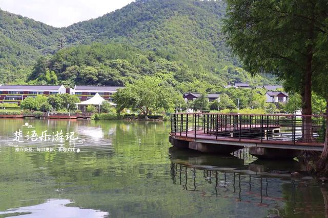 浙江宁波这片湿地少有人来，却是很美的赏荷胜地，周边美景也很多