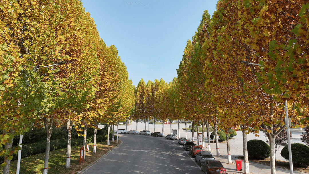 长治的金秋，何处最美？