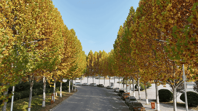 长治的金秋，何处最美？