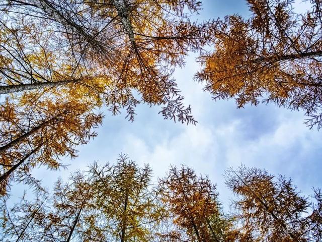 镜瞰秦州·悦秋