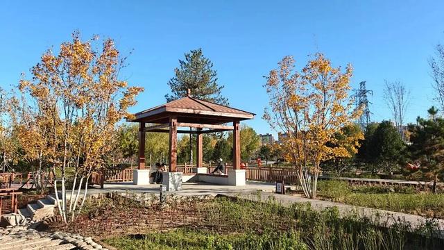 美翻了！丰台这些“秋季限定”进入倒计时→