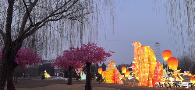 舜帝花海——邂逅一场别具一格的视觉盛宴