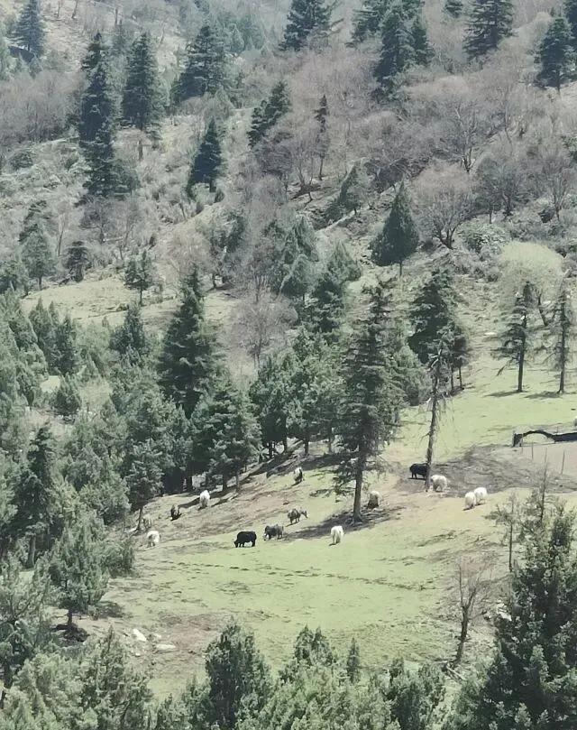 万万没想到在甘肃武威，有一条超级费腿的徒步路线竟可媲美川西