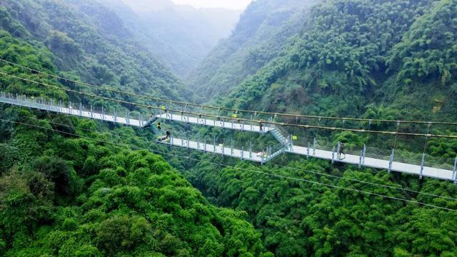 带爸妈出发！邛崃银发康养游线路来啦~