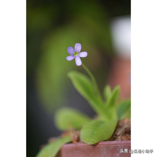 选索尼还是适马？E卡口大光圈长焦变焦镜头巅峰对决！
