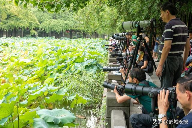 成都凭什么火成这样？外国游客暴增 61%，这波操作藏着太多门道