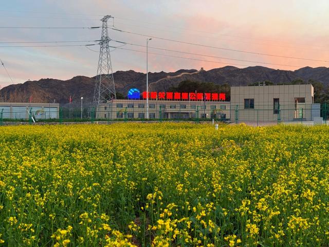 【建站美家】酒泉分公司嘉峪关西收费站：丝路绿洲，田园筑梦