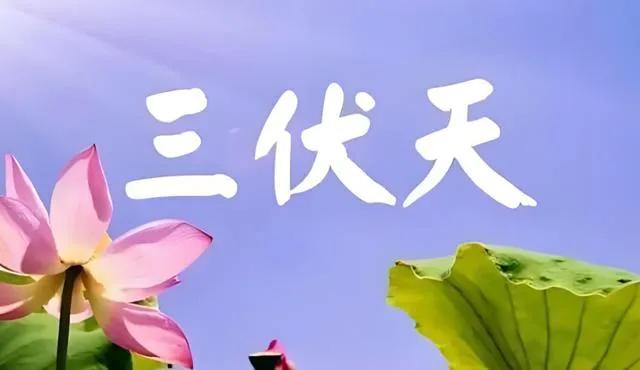 今年三伏天10年一遇，4大特殊的点，今年的高温还要持续多久