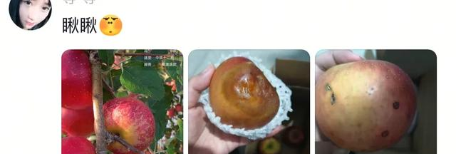 回回都上当，当当不一样，那些网上买水果的坑你进了吗？