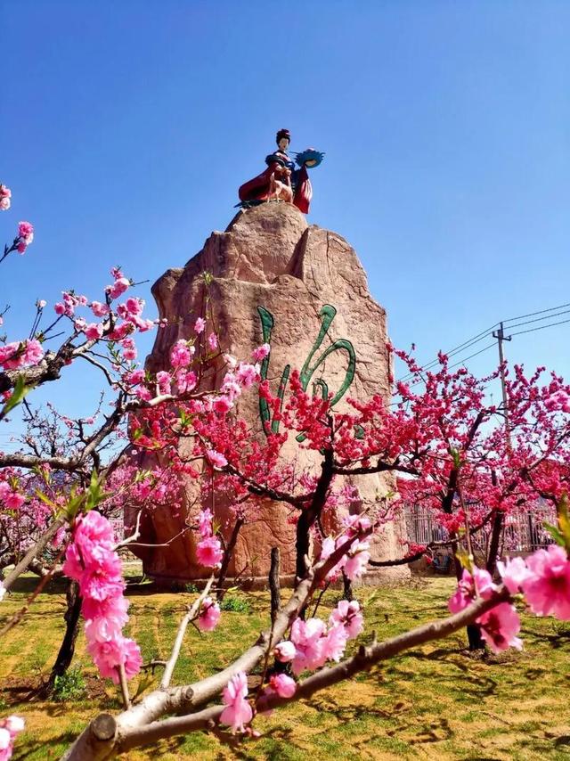 4月中下旬最后的花期，这6个地方还能赶上春天的尾巴