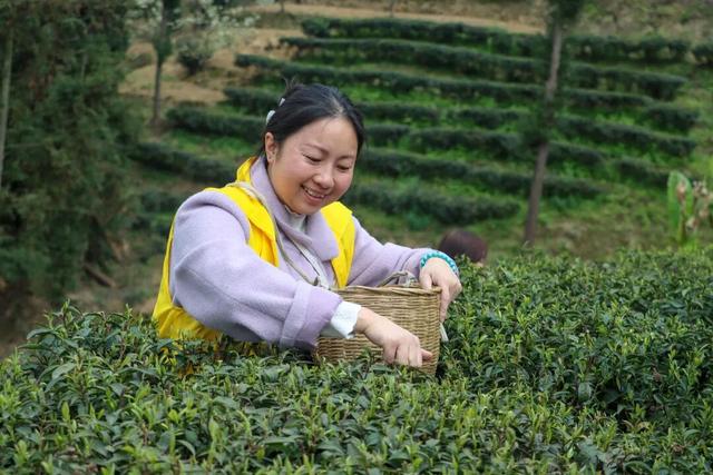 村歌村村唱·每日一歌丨高桥镇的美景与幸福藏不住了~