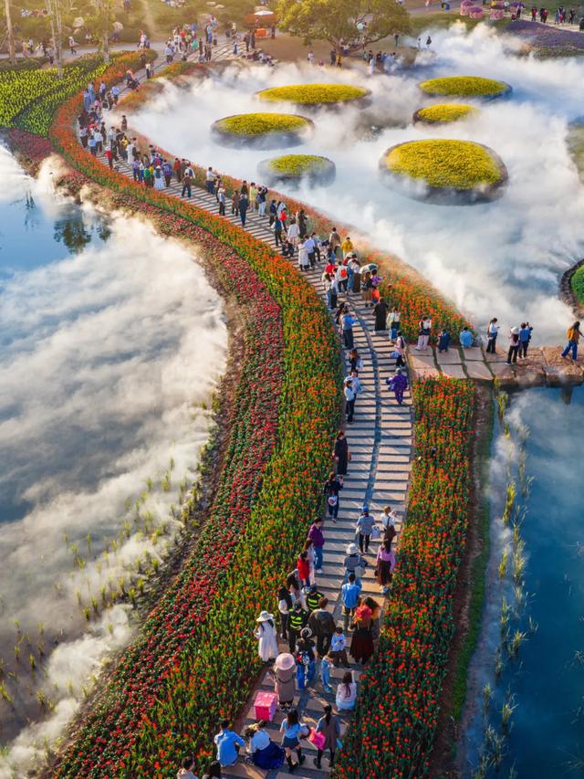 🤗🤗🤗花都开好了，约吗？