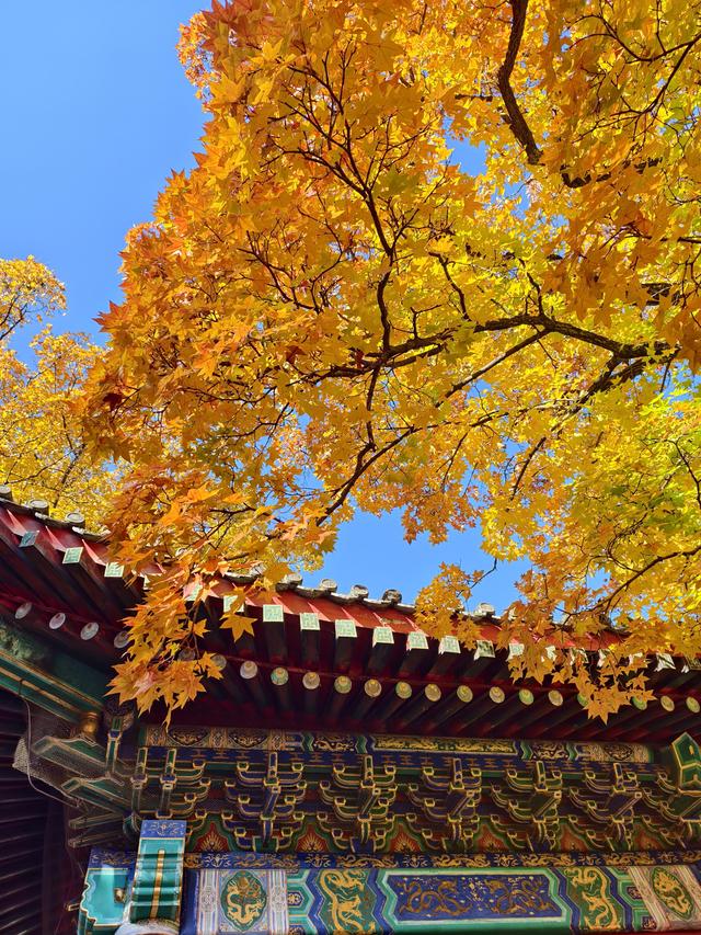 北京的秋是七彩的