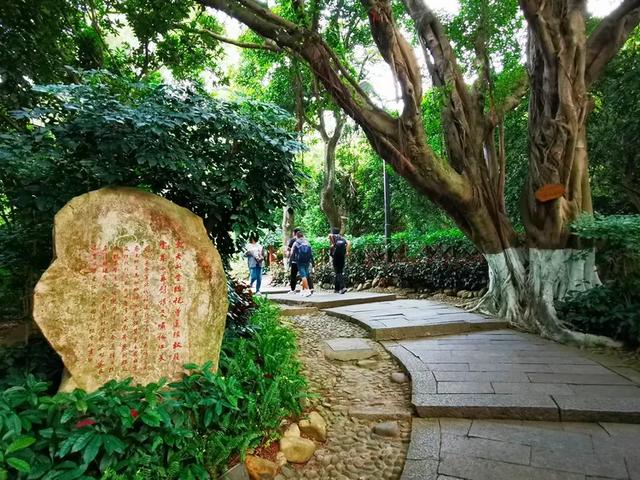 “若得一日闲 山中品千年” 游泉州清源山