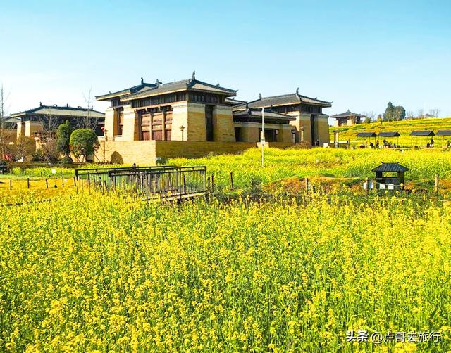 成都最美的古风油菜花田，坐在花田中免费看大飞机，公交车直达！