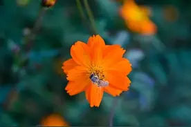 被女婿吐槽的丈母娘，普遍都有这样的五个共性，最后一个最严重！图片