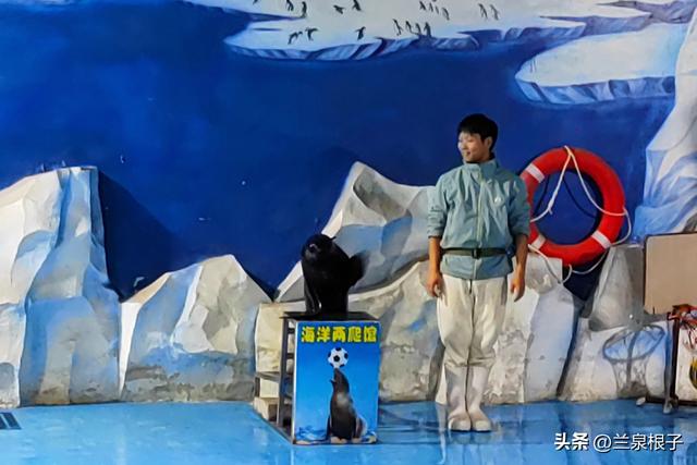 国宝百日庆·萌兽迎新年 兰州野生动物园邀您共赴自然之约