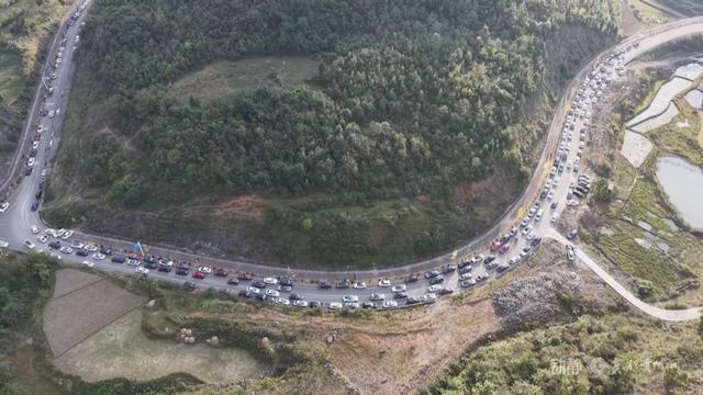 初冬“杏”韵：邂逅贵州的金色浪漫