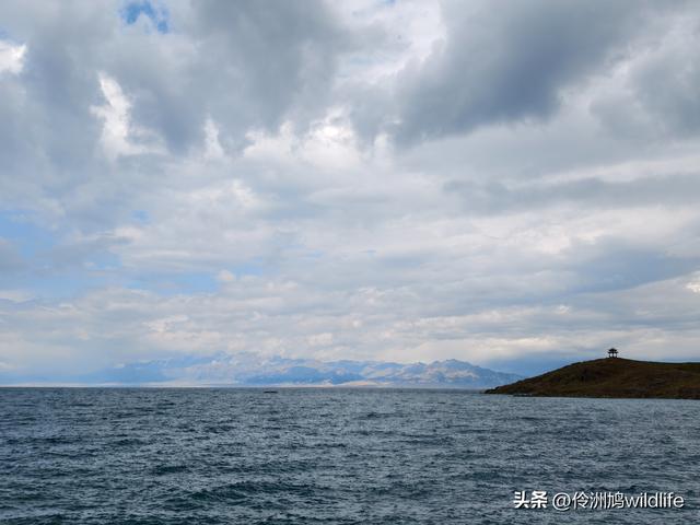 新疆明珠——赛里木湖