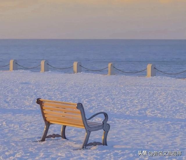 雪落大连，一场山海的冬日盛宴