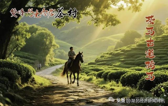 生态为基 文化为魂 孝感双峰双毫雨露茶村打造武汉都市圈短途游新选择