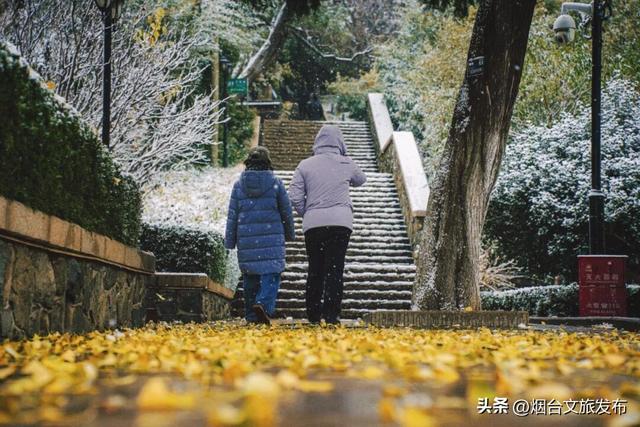 【乐游烟台】公交直达！烟台市中心神仙秘境，限时绝美