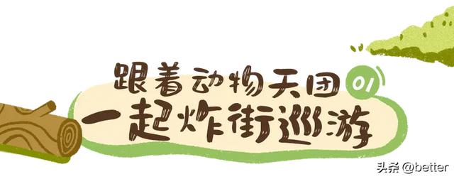 不出武汉，玩转真实版「疯狂动物城」