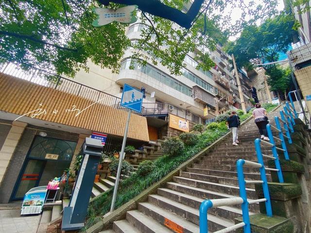 重庆作为西部唯一的直辖市，究竟属于南方还是北方？看完就清楚了