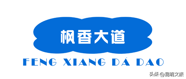 初冬出片C位！昆明这个地方必须榜上有名，周末抓紧冲~