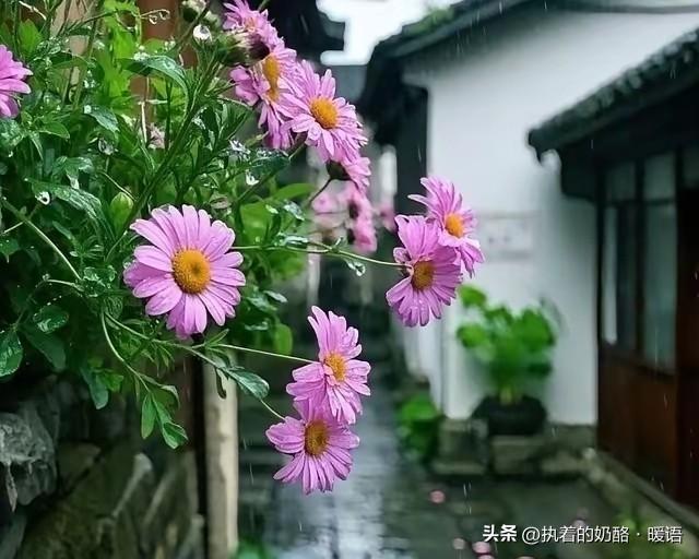 两性:当你接触的女人多了之后，会发现：女人的“味道”,各有不同