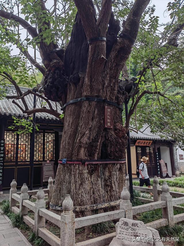 我是济南人，刚从青州回来，实在忍不住想说：对青州5点印象