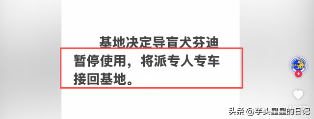 带导盲犬爬山后续：女主渴望被理解，坦言自己没错，澄清不是夫妻