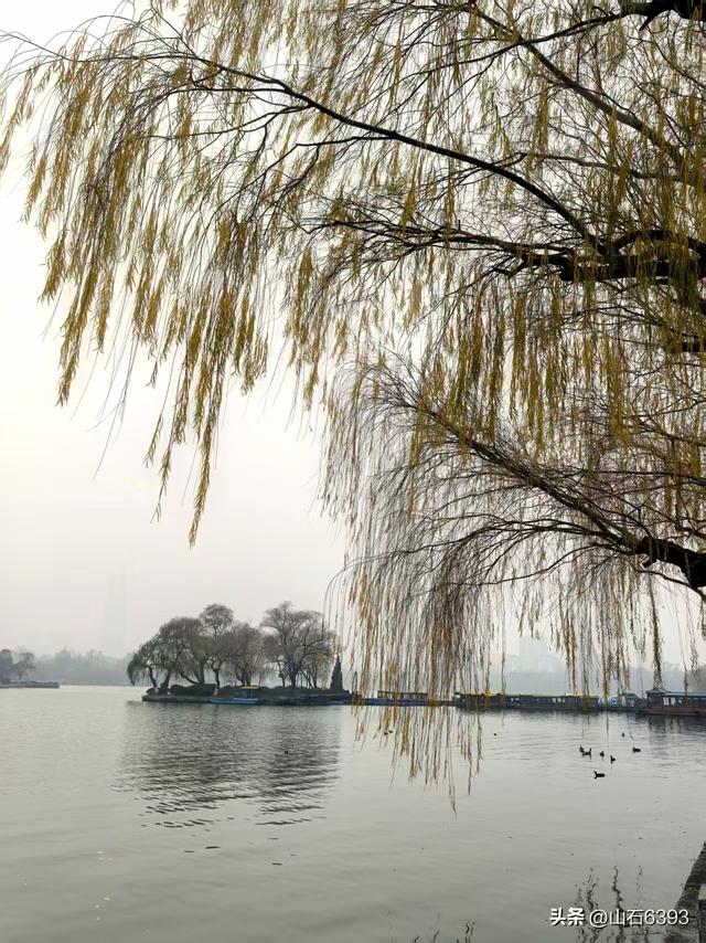 新华社原军事记者陶俊峰泉城美拍：《冬雾中的大明湖》