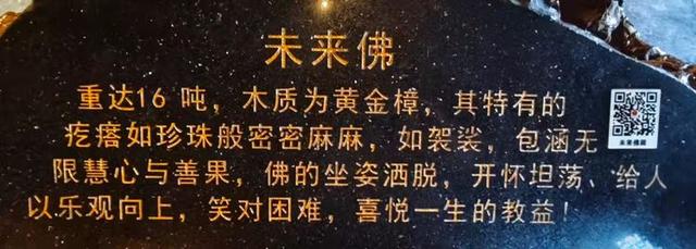 参观根宫佛国博物馆