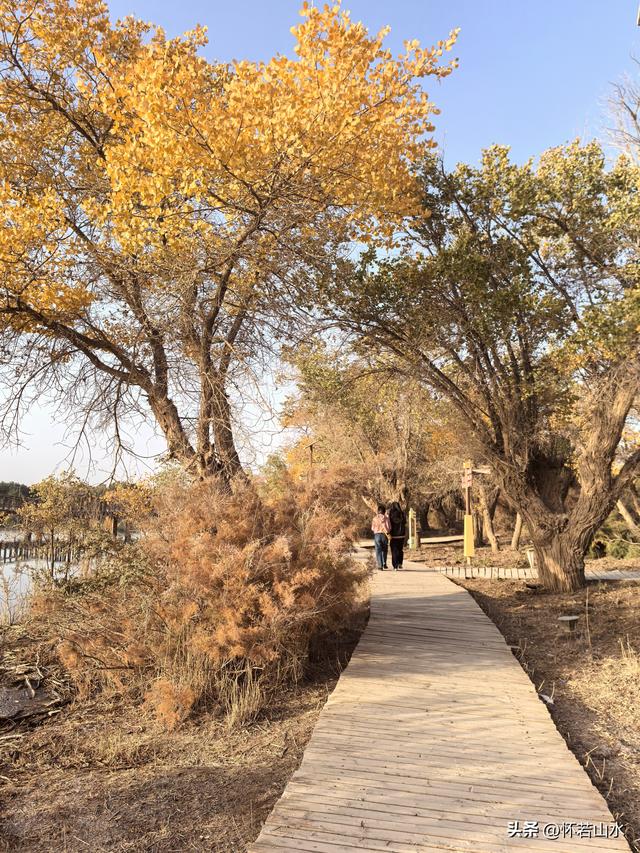 2025环南疆沙漠铁路背包自由行日记(6)---游览巴楚红海胡杨林景区