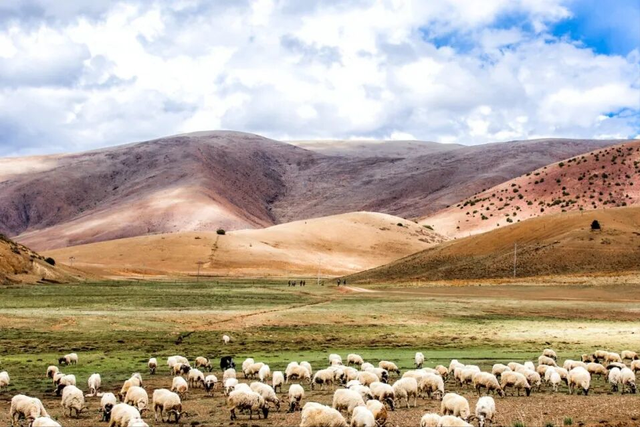 藏东左贡秘境！雪山草原古寺藏着极致风光