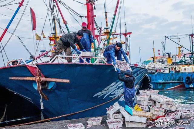 不舍离岛！嵊泗这些烟火气十足的地方再去走一走！
